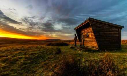 Tiny House Nedir?