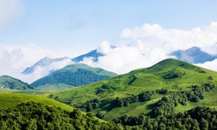 Artvin Gezi Rehberi