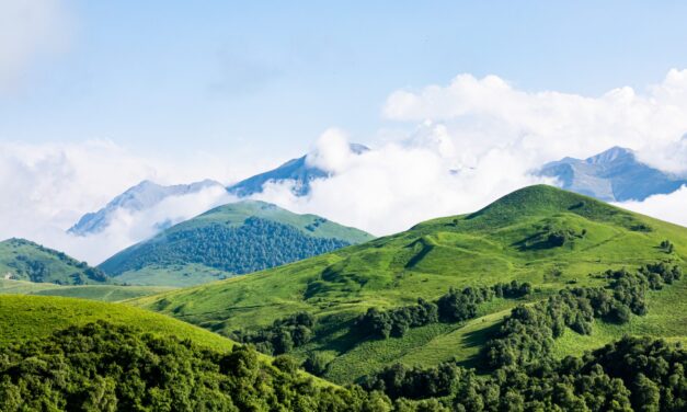 Artvin Gezi Rehberi