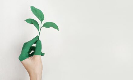 Ekolojik Zeka Nedir?