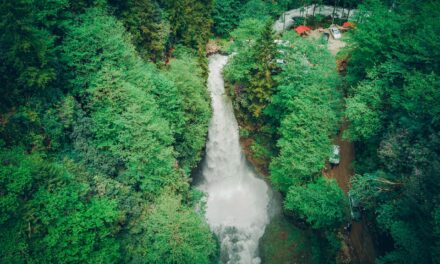 Rize Gezi Rehberi